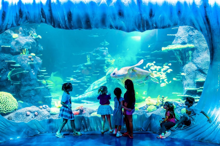 SEA LIFE Sydney Aquarium Tickets