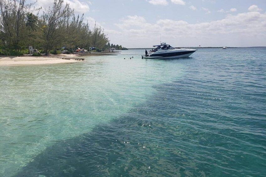 Starfish Point 4