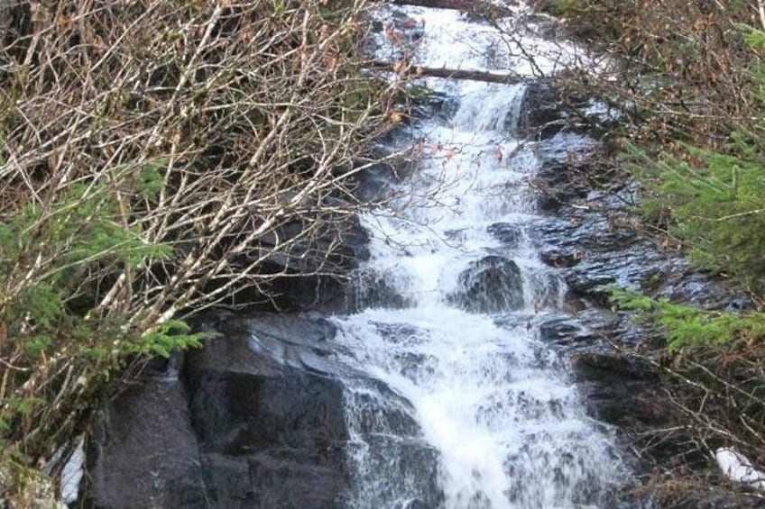 Een waterval die over rotsen stroomt in een bebost gebied. 4