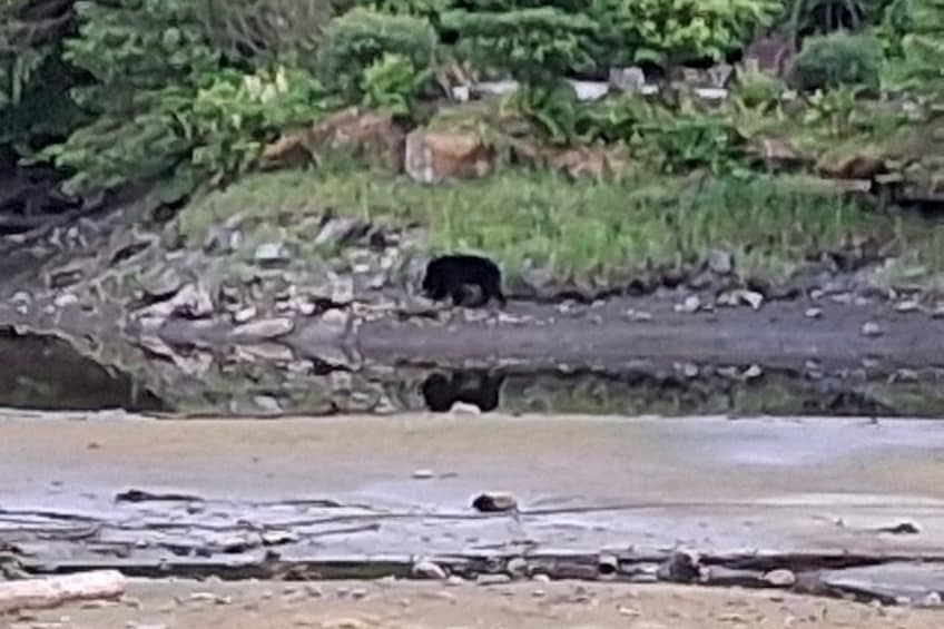 Ketchikan All In One 3
