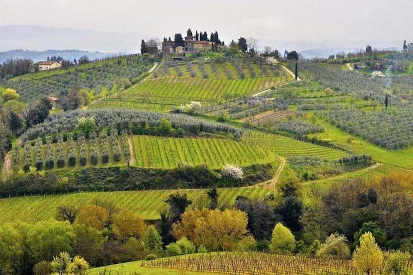 Terraced vineyards, a castle, and rolling hills. 2