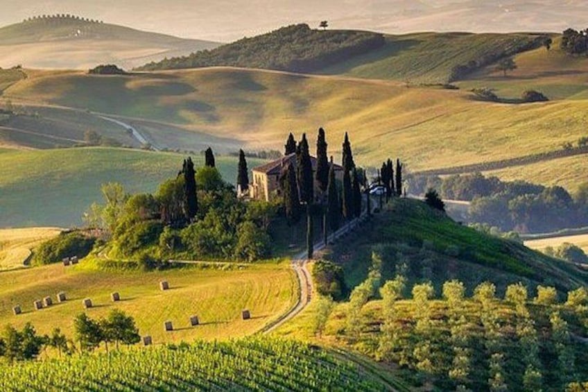 Rolling hills, a vineyard, and a historic building with tall trees. 3