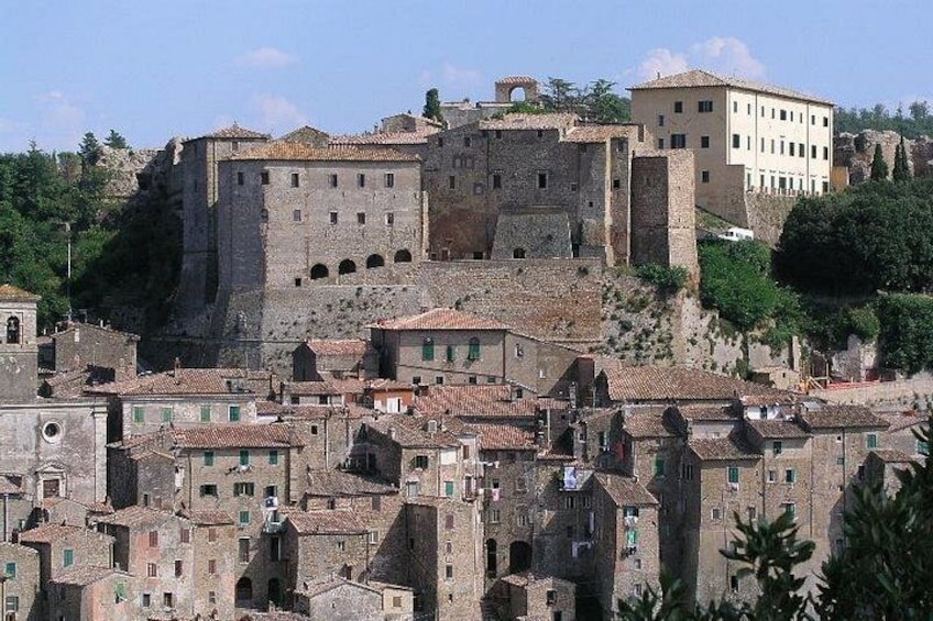 A historic town with a prominent castle on a hill, surrounded by traditional buildings. 1