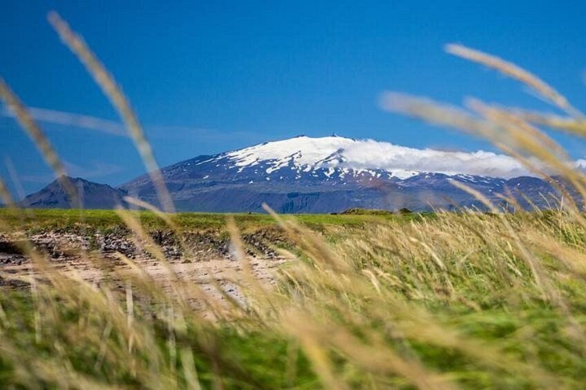 A mountain with snow-capped peaks, foreground grass, and a clear blue sky. 5