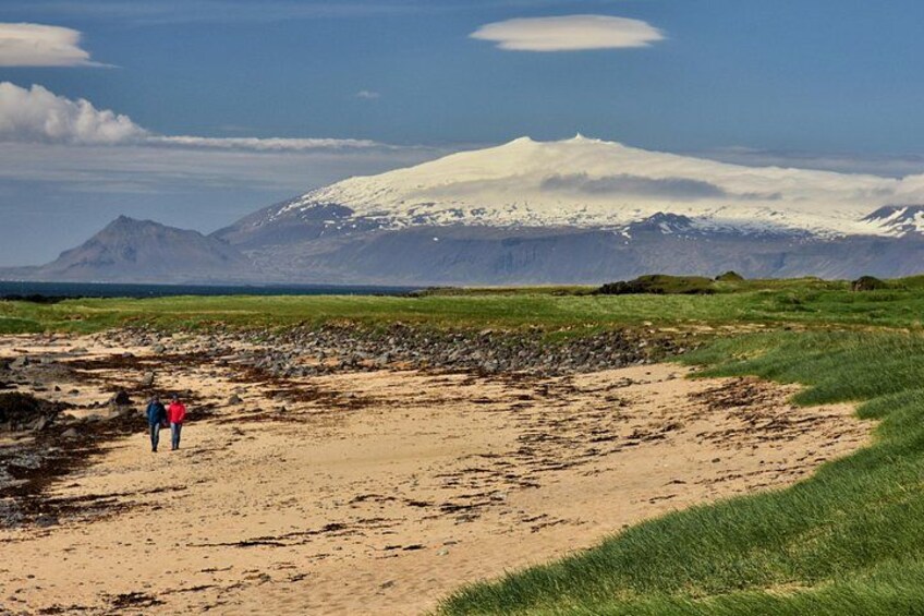 A sandy terrain with two people walking, a grassy area, and a snow-capped mountain in the background. 2
