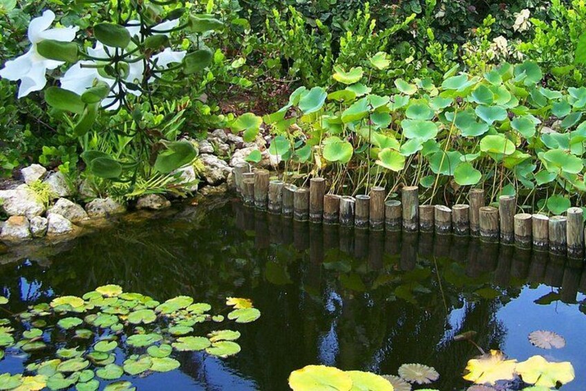 Cayman Crystal Caves & Pedro St James OR Botanic Gardens 2