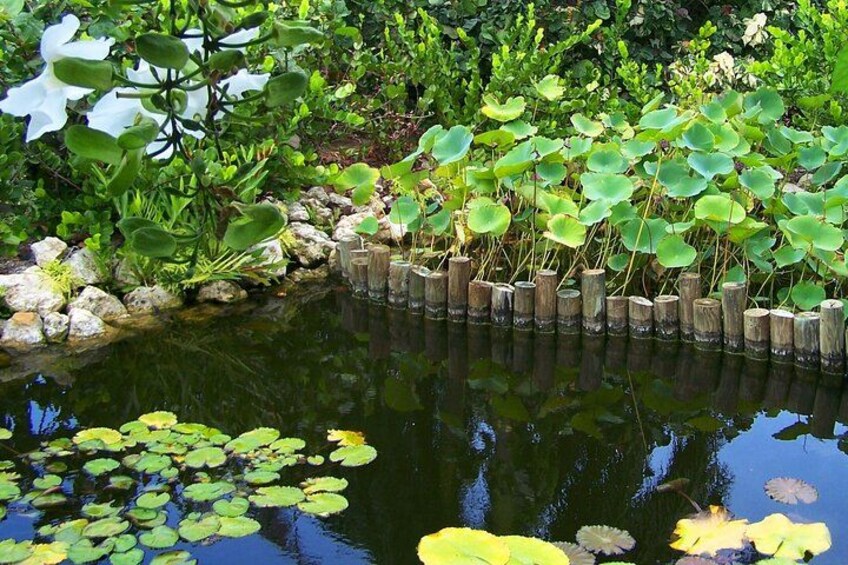 Cayman Crystal Caves & Pedro St James OR Botanic Gardens 2