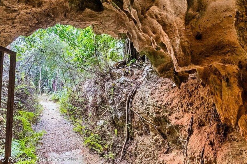Cayman Crystal Caves Tour in Grand Cayman 3