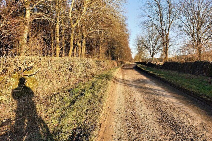 A rural dirt road flanked by leafless trees and a stone wall. 3