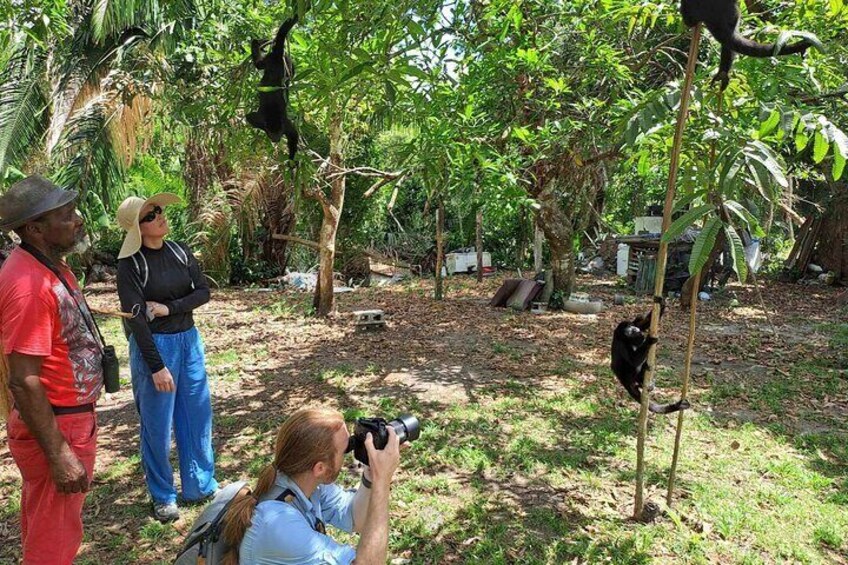 Howler Monkey Sanctuary Tour from Belize City