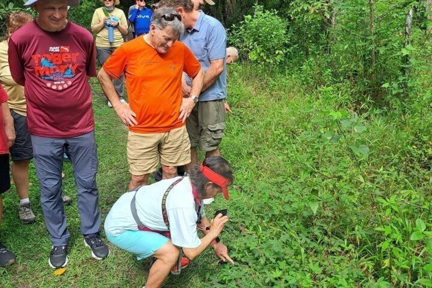 Rumble in the Jungle: The Howler Monkey Expedition 3