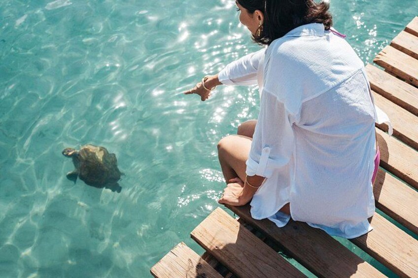 Hato Caves, Turtles & Beach 3