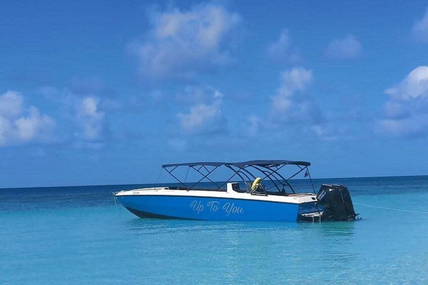 A blue and white boat named 'Up To You' on calm turquoise water under a clear sky. 2