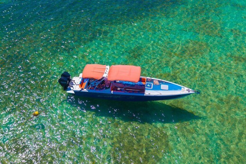 Best Of Billy Bones ,Snorkeling with Turtles and BBQ Lunch 4