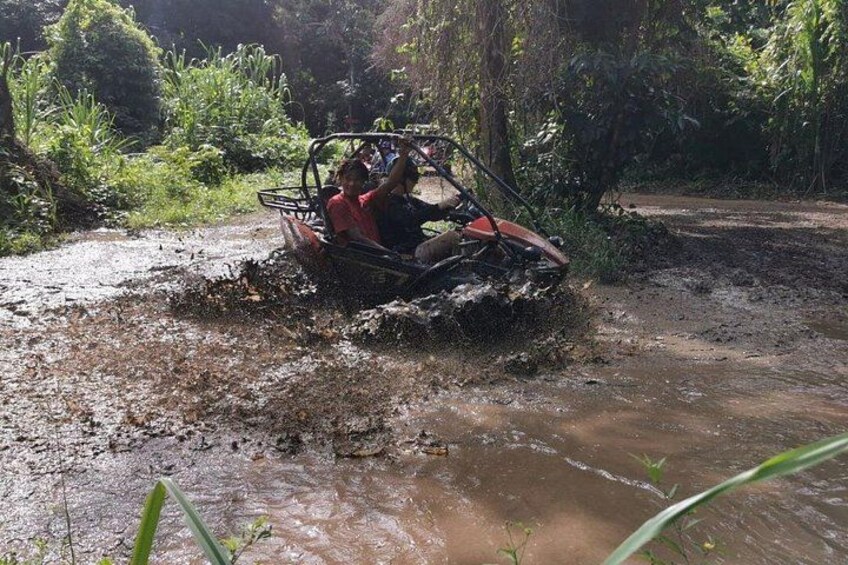 Dune buggies splash through a shallow jungle creek, kicking up water as passengers laugh. Lush greenery and hanging vines frame the action-packed moment. 4