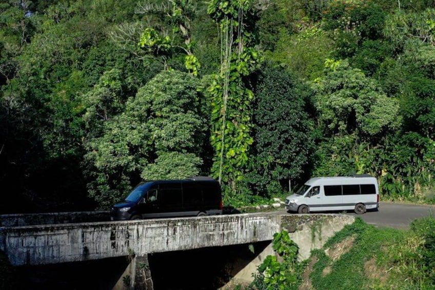 Aloha Eco Adventures - 2024/2025 Mercedes vans on the Road to Hana 1
