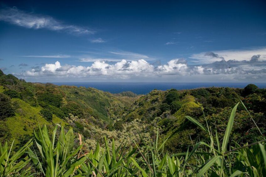 Ocean and Jungle views on the Road to Hana 2
