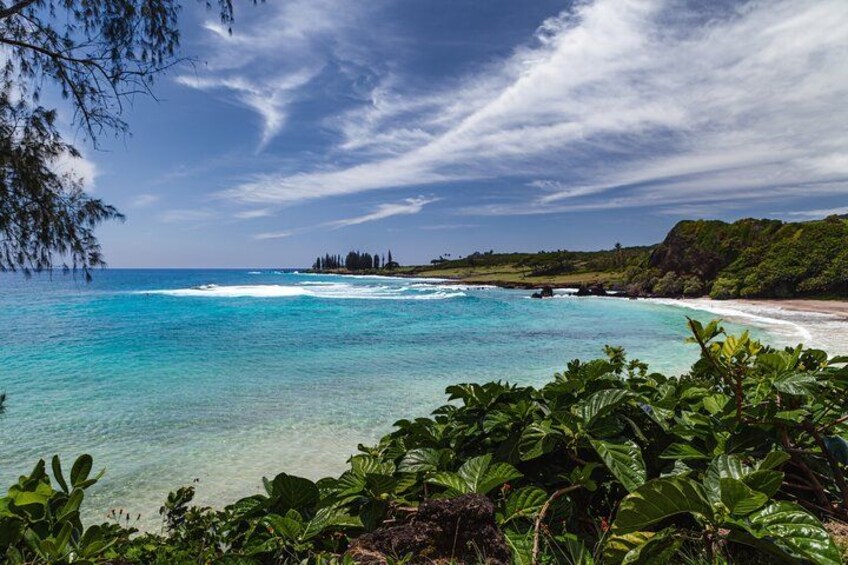 Tropical Beach on the Road to Hana 5