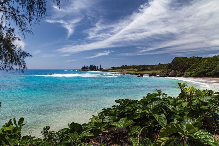 Tropical Beach on the Road to Hana 3