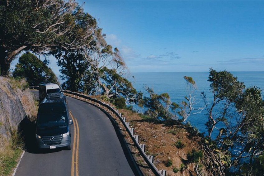 Aloha Eco Adventures - 2024/2025 Mercedes vans on the Road to Hana 2