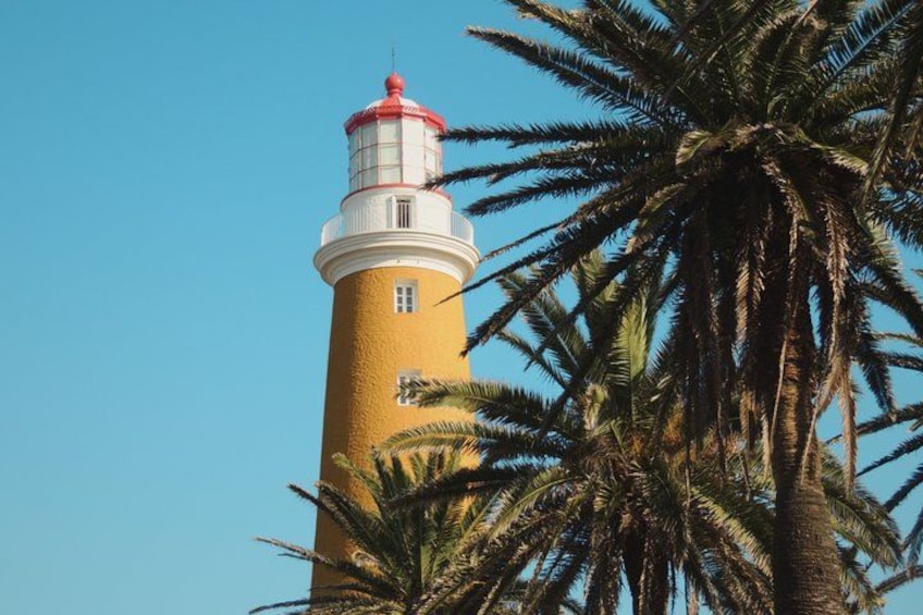 A lighthouse with a red top, surrounded by palm trees. 4