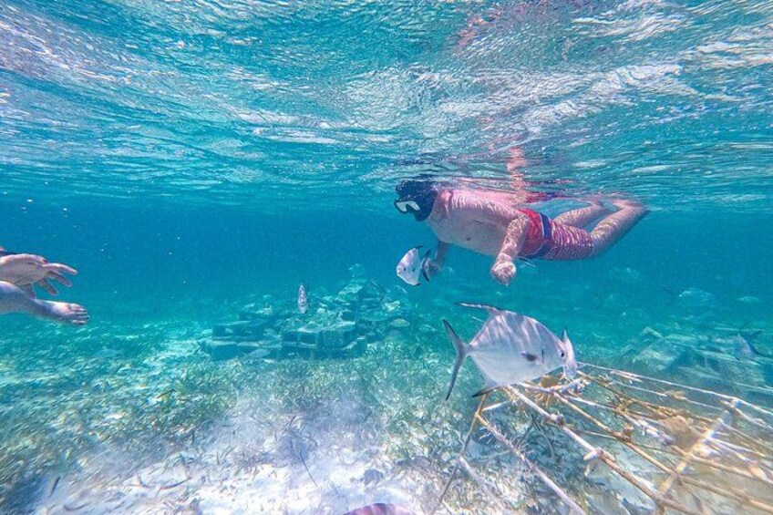 A person snorkeling underwater with marine life and coral formations. 4