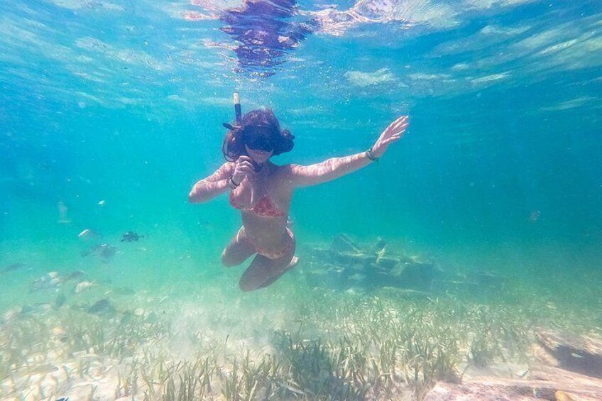 A person snorkeling underwater with clear water, aquatic plants, and fish. 3