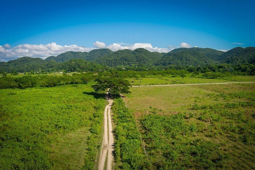 A dirt road leading through a green landscape with hills in the background. 2