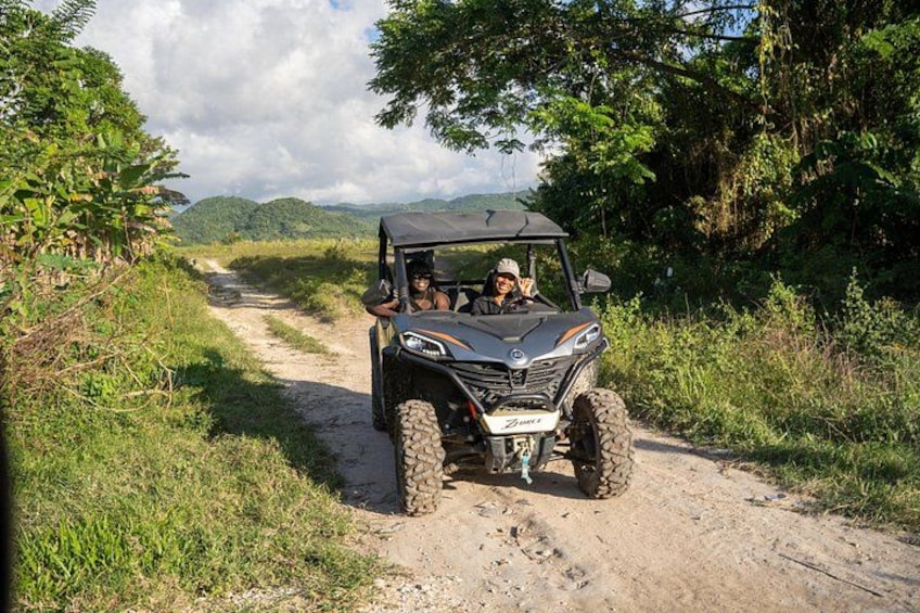 A vehicle on a dirt path surrounded by greenery. 4