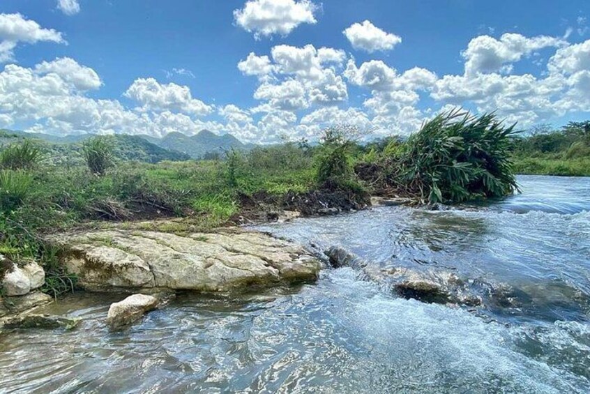 Ein Fluss mit klarem Wasser, einem steinigen Ufer und üppigem Grün im Hintergrund. 4