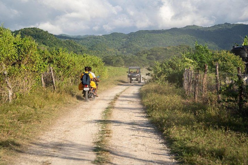 A dirt road flanked by vegetation, a person on a bicycle, and a vehicle in the distance. 3
