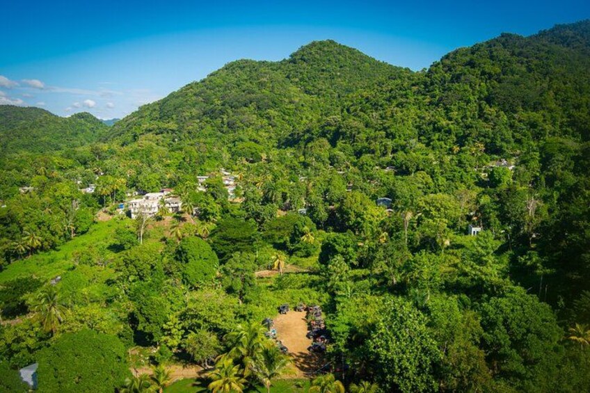Üppige grüne Landschaft mit dichter Vegetation und vereinzelten Gebäuden. 3