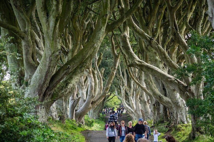 Private Giants Causeway Tour From Belfast Cruise Terminal 2