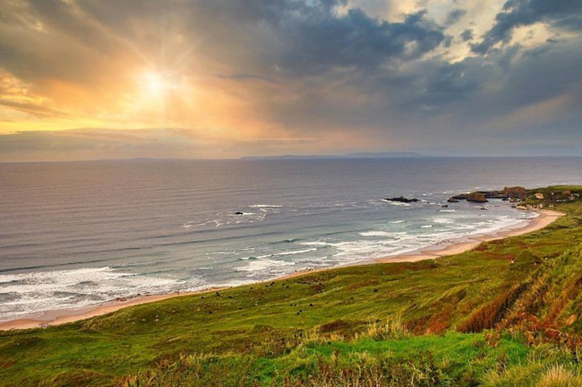 A coastal landscape with a beach, grassy hills, and a sunset over the ocean. 4