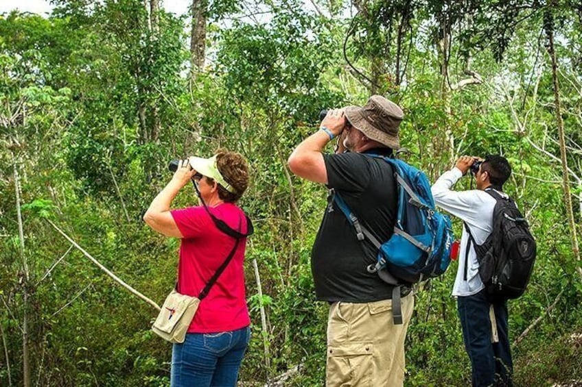 Bird Watching Tour Cozumel 2