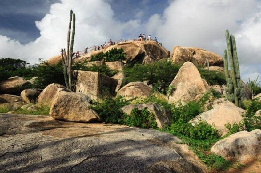 Aruba Shore Excursion: The Highlights and Delights Tour 5