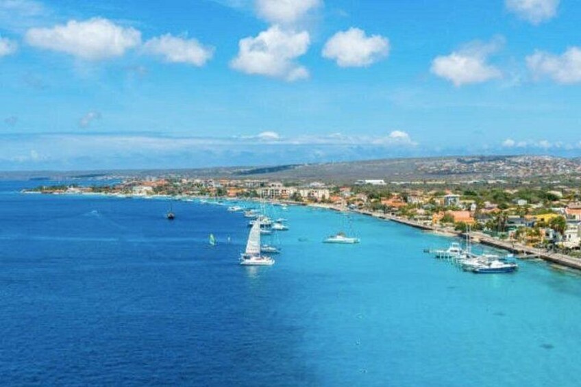 Bonaire Shore Excursion: The Bonaire Highlights Tour 4