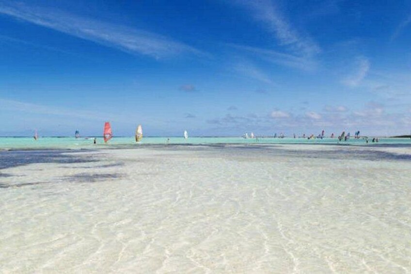 Bonaire Shore Excursion: The Bonaire Highlights Tour 5