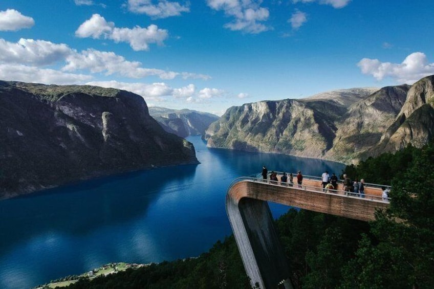 Ultimate Bergen Private Tour to Flåm Railway & Fjord Cruise 3