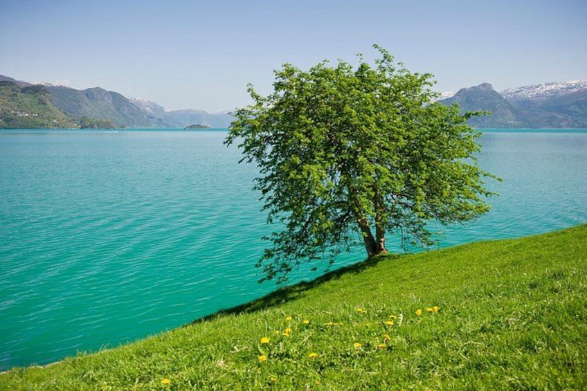 VisitNorway.com 4