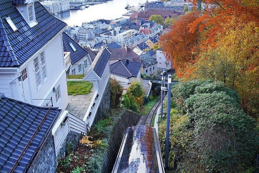 Private Bergen Walking tour with Funicular 5