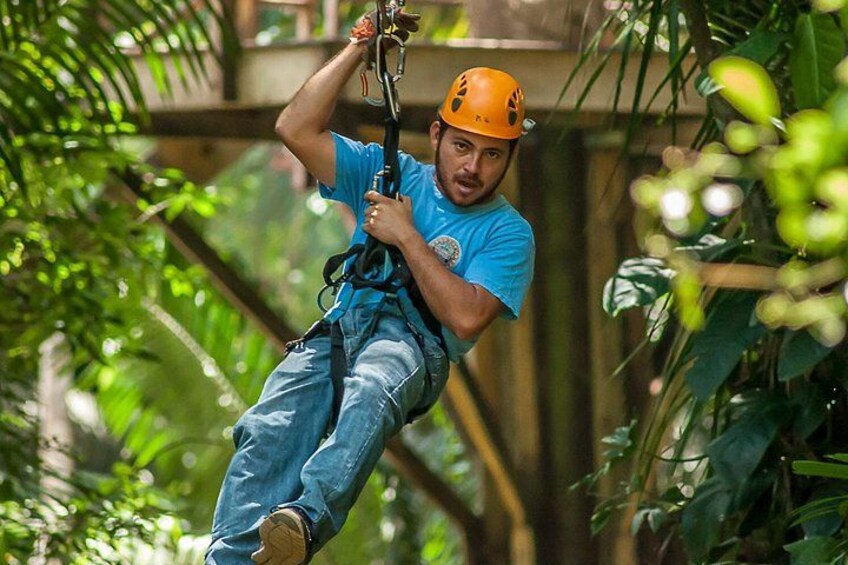 Zipline 4