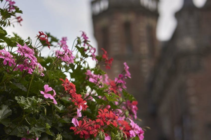 Pink and red flowers in front of a historic building. 5