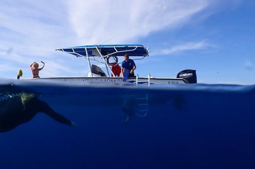 Klein Bonaire Marine Park Snorkeling Excursion small groups 2