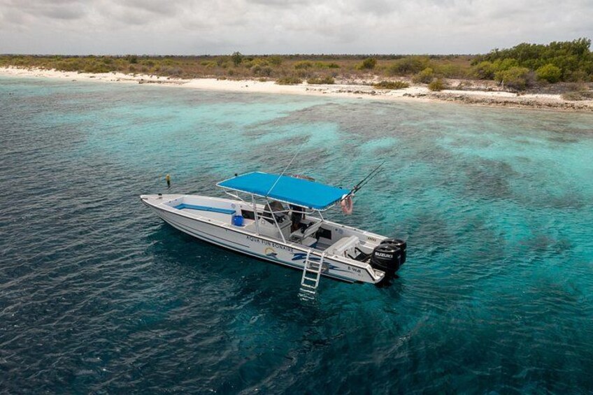 The Boat with a dive ladder 2