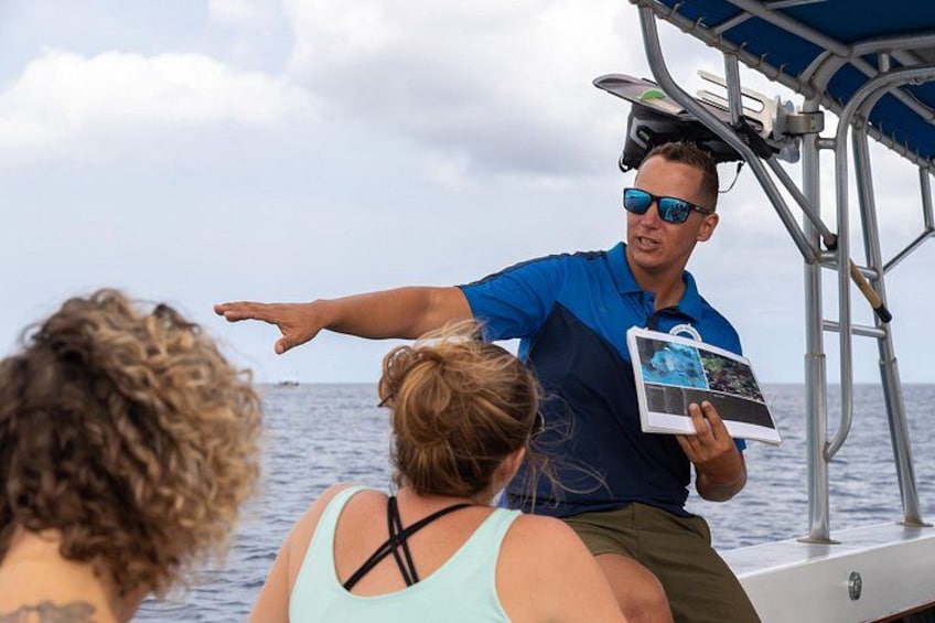 We Explain you everything before we enter the water so you can keep your eyes and ears in the water! 5