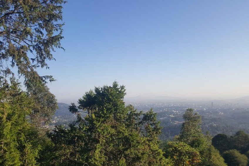 Un paisaje urbano bajo un cielo despejado, rodeado de frondosos árboles verdes. 1
