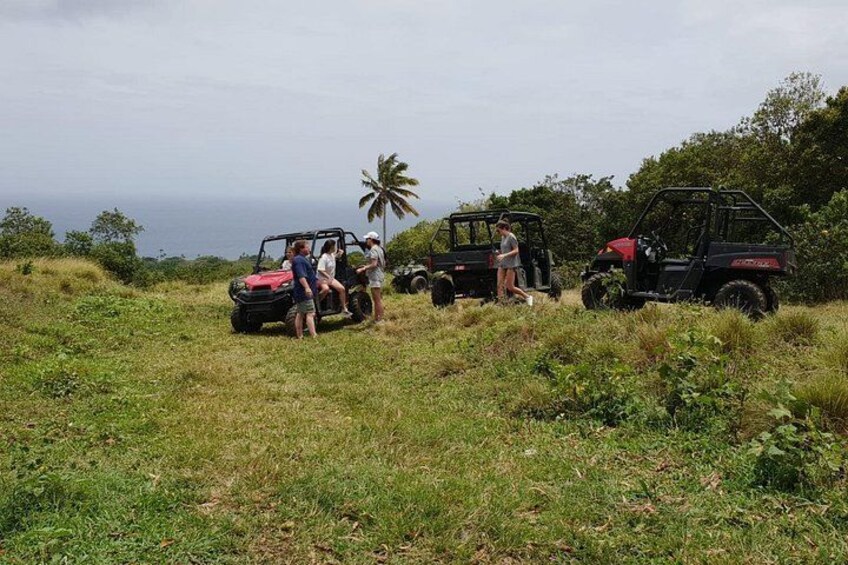 DUNE BUGGY TOURS 5