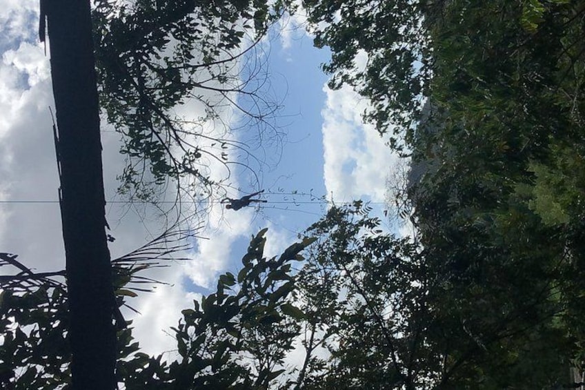 Un árbol, una línea eléctrica y un cielo parcialmente nublado. 3