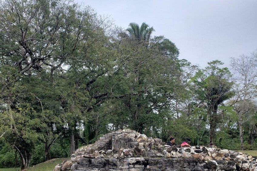 A stone structure surrounded by dense trees. 5